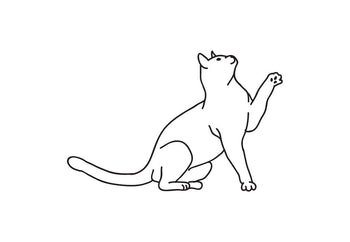 Comment nettoyer le pipi de chat ?