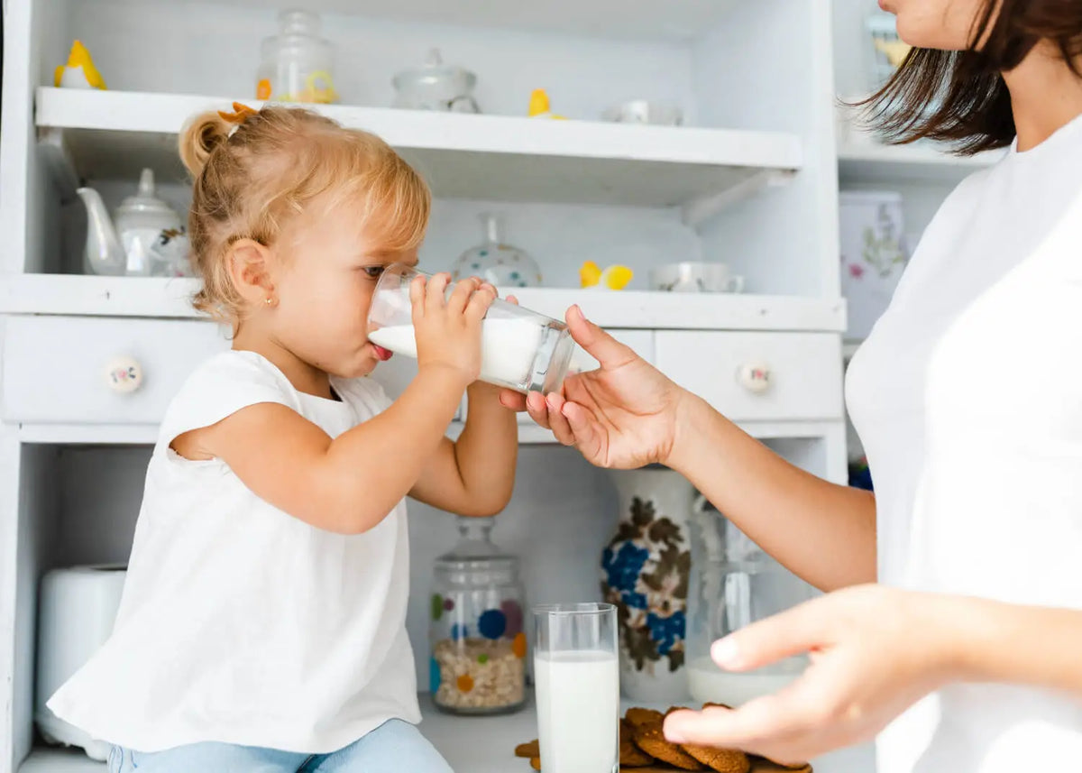 lait de croissance et carences nutritionnelles