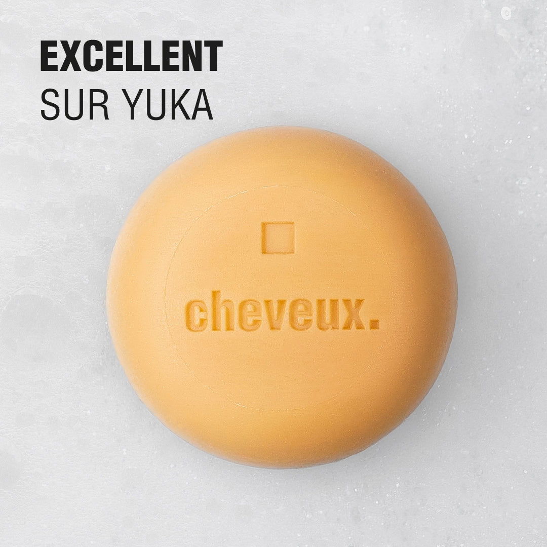 Shampoing solide - Cheveux secs - Coco Karité