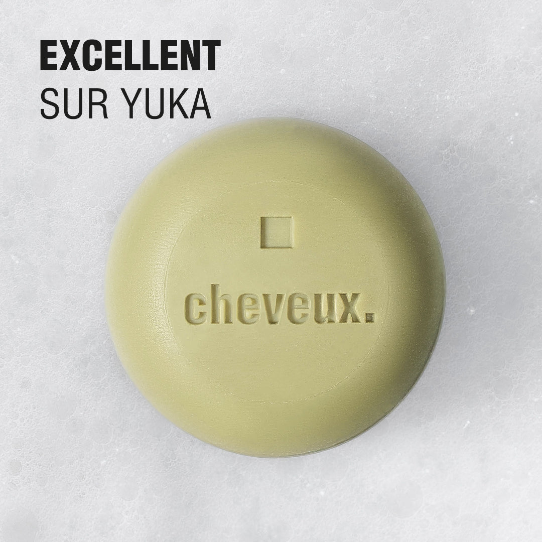 Shampoing solide - Cheveux gras - Thé vert